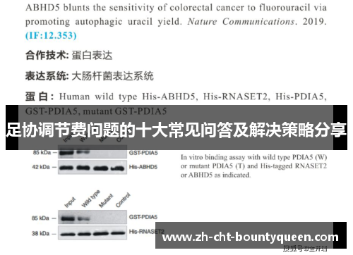 足协调节费问题的十大常见问答及解决策略分享